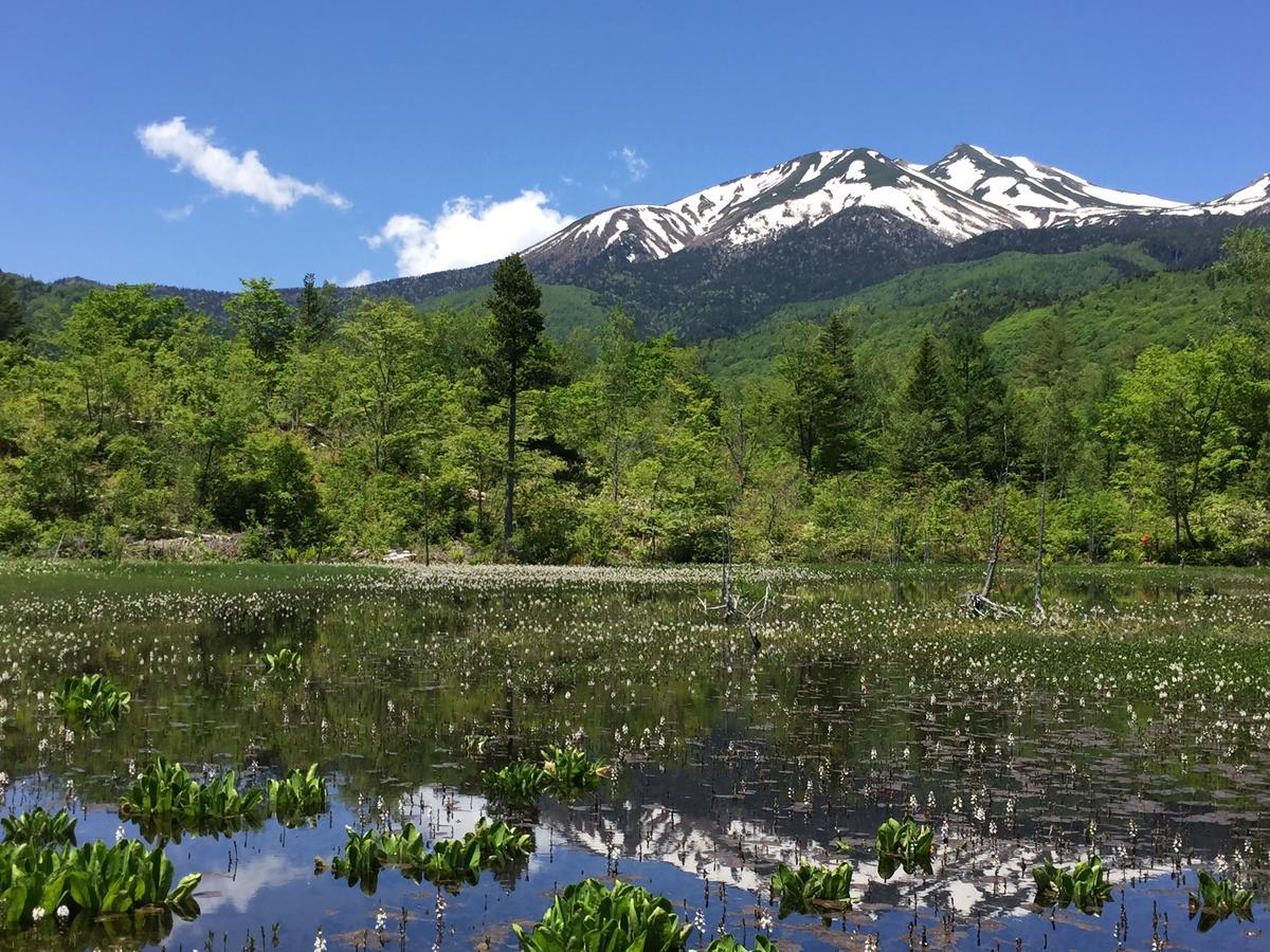 Guesthouse Hoshizora No Akari Macumoto Exteriér fotografie